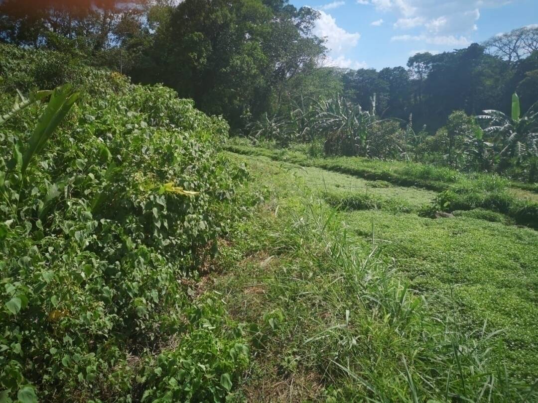 #65 - Terreno para Venta en Palín - Escuintla