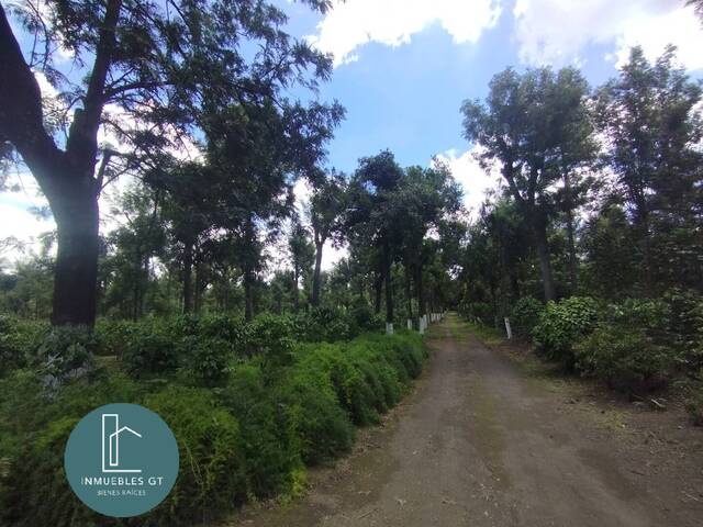 #755 - Área para Venta en Ciudad de Guatemala - Guatemala - 2