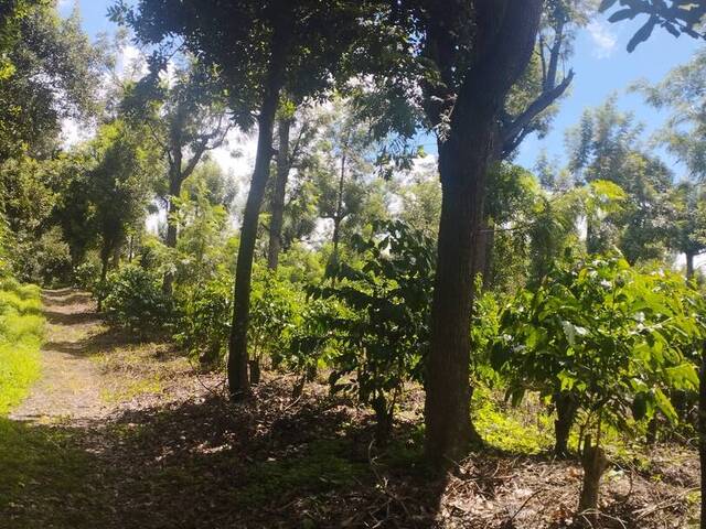 #755 - Área para Venta en Ciudad de Guatemala - Guatemala - 3