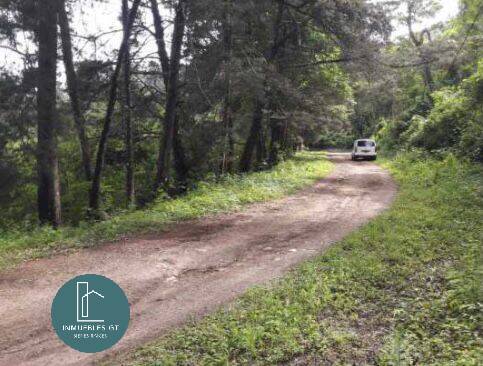 Terreno en VENTA en Km 21.5 Carr. a El Salvador - Image 3