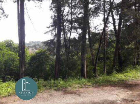 Terreno en VENTA en Km 21.5 Carr. a El Salvador - Image 2