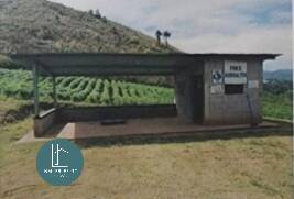 Finca en VENTA - Chimaltenango - Image 2