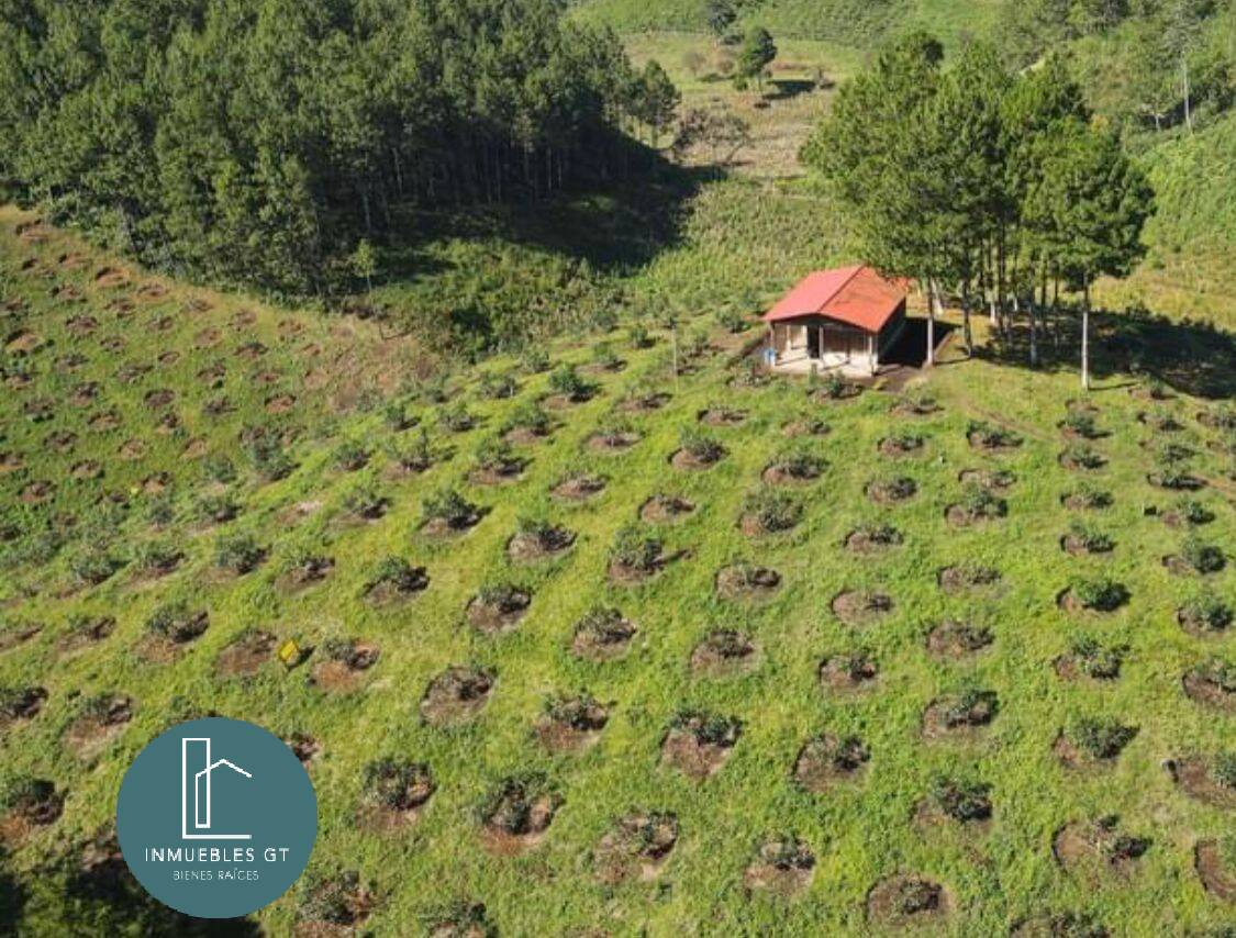 Terreno en Venta Alta Verapaz - Image 2