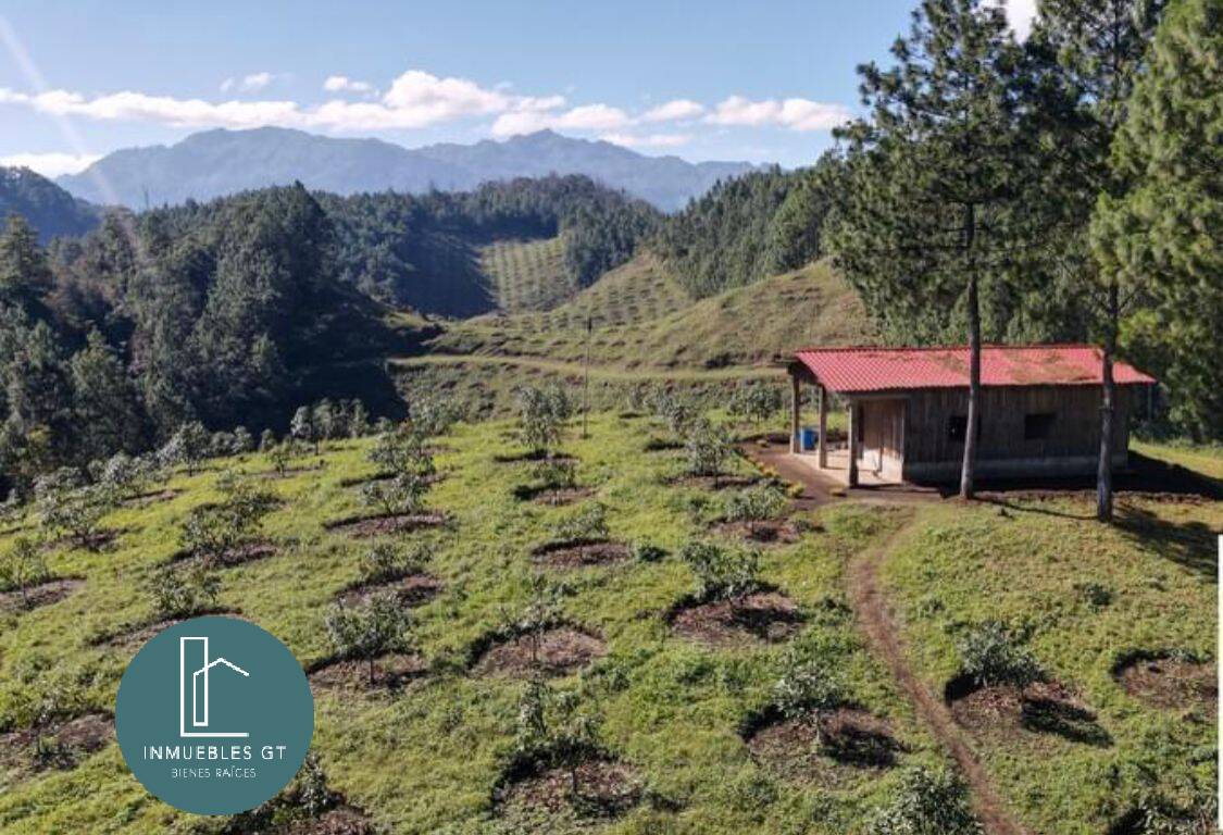 Terreno en Venta Alta Verapaz - Image 3