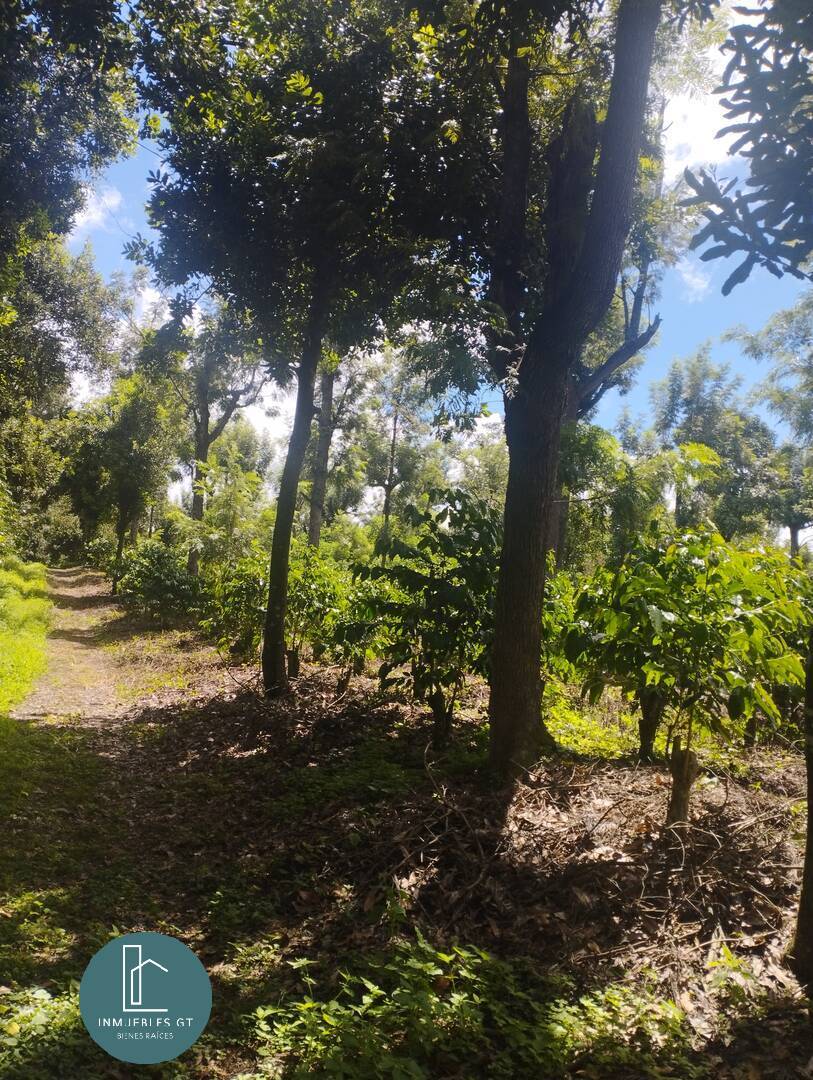Terreno en VENTA, San Miguel Dueñas - Image 3