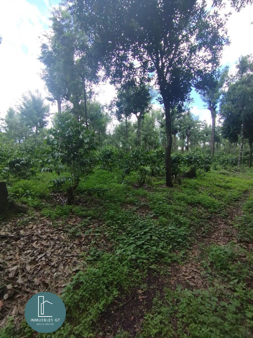 Terreno en VENTA, San Miguel Dueñas - Image 4