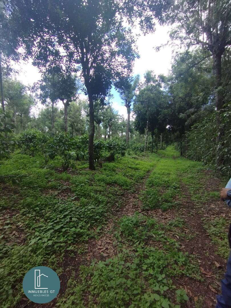 Terreno en VENTA, San Miguel Dueñas - Image 5