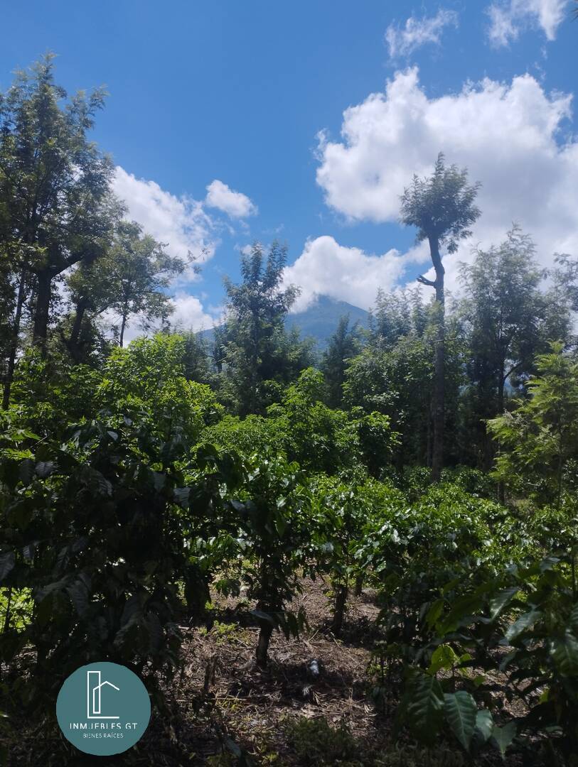 Terreno en VENTA, San Miguel Dueñas - Miniatura 6